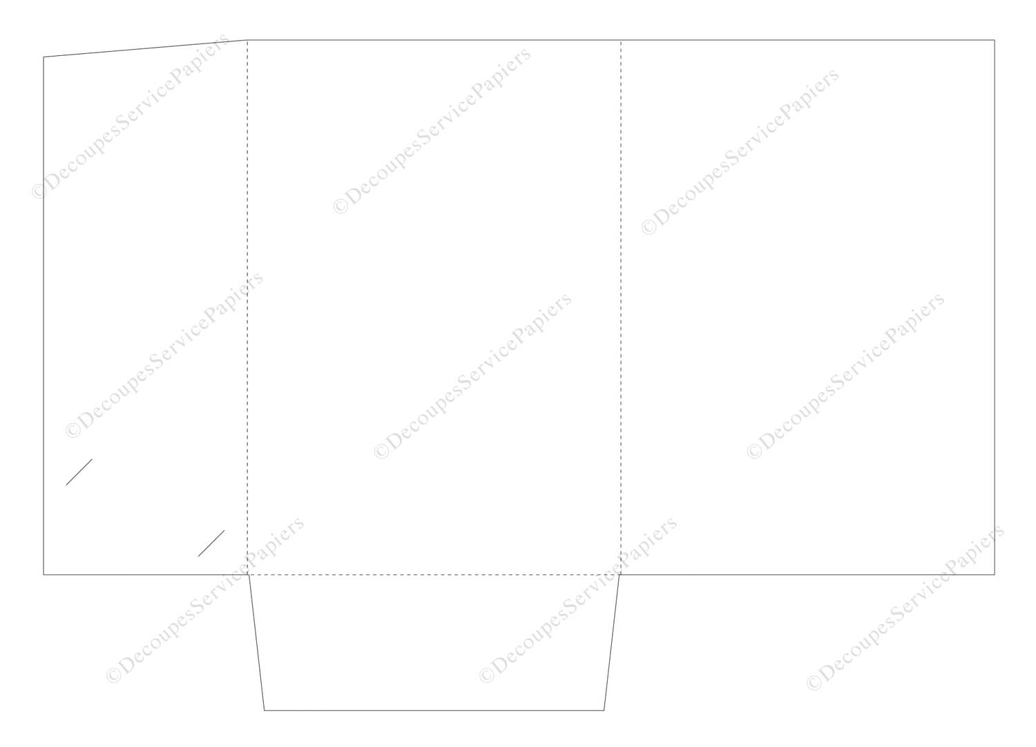 CHEMISE F 220 X 315 O 560 X 395.jpg